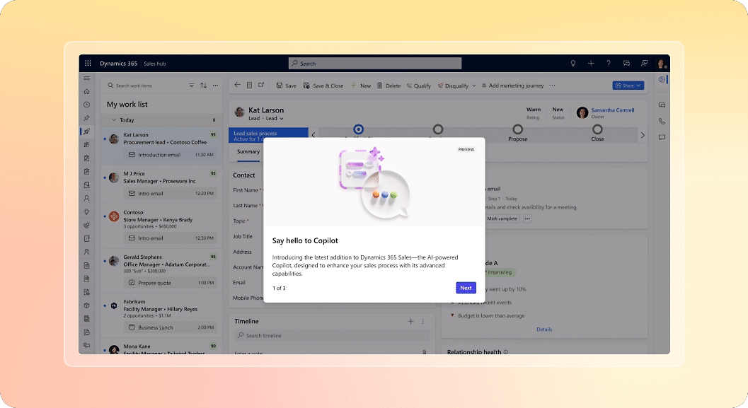 Copilot para Dynamics 365 33
